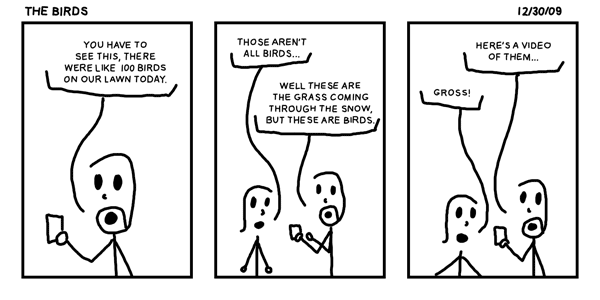 The Birds