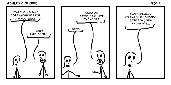 Ashley’s Choice