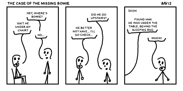 The Case of the Missing Bowie