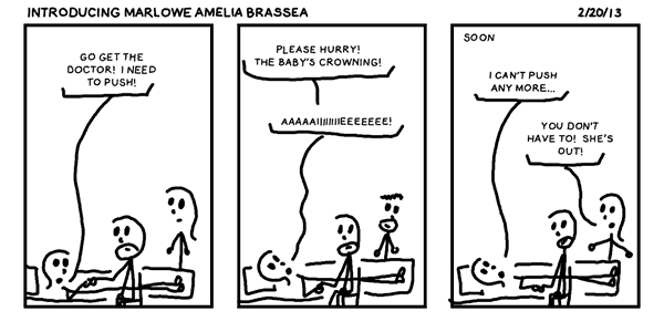 Introducing Marlowe Amelia Brassea