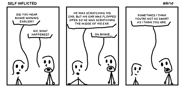 Self Inflicted