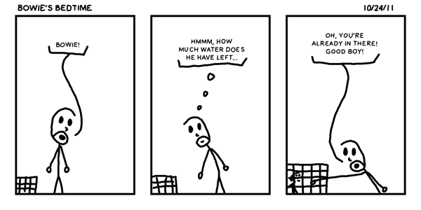 Bowie’s Bedtime