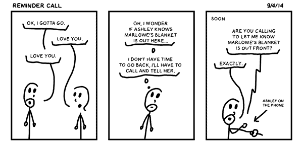 Reminder Call